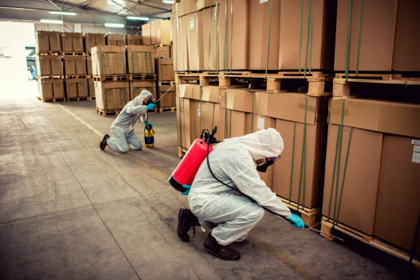 Best Pest Removal Services  in Phoenixville, PA