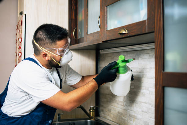 Flea Control Services in Phoenixville, PA