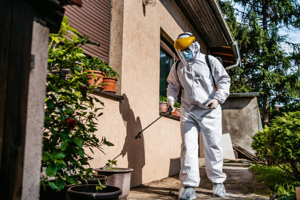 Best Wasp Removal Services  in Phoenixville, PA