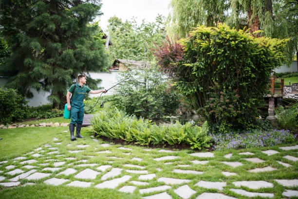 Best Commercial Pest Control Services  in Phoenixville, PA