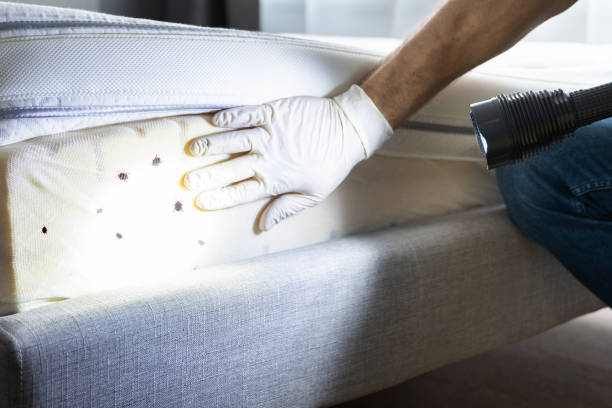Best Best Pest Control Companies  in Phoenixville, PA