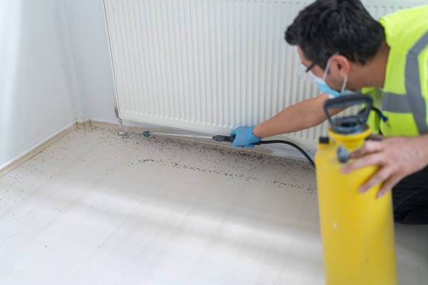 Best Termite Control Services  in Phoenixville, PA